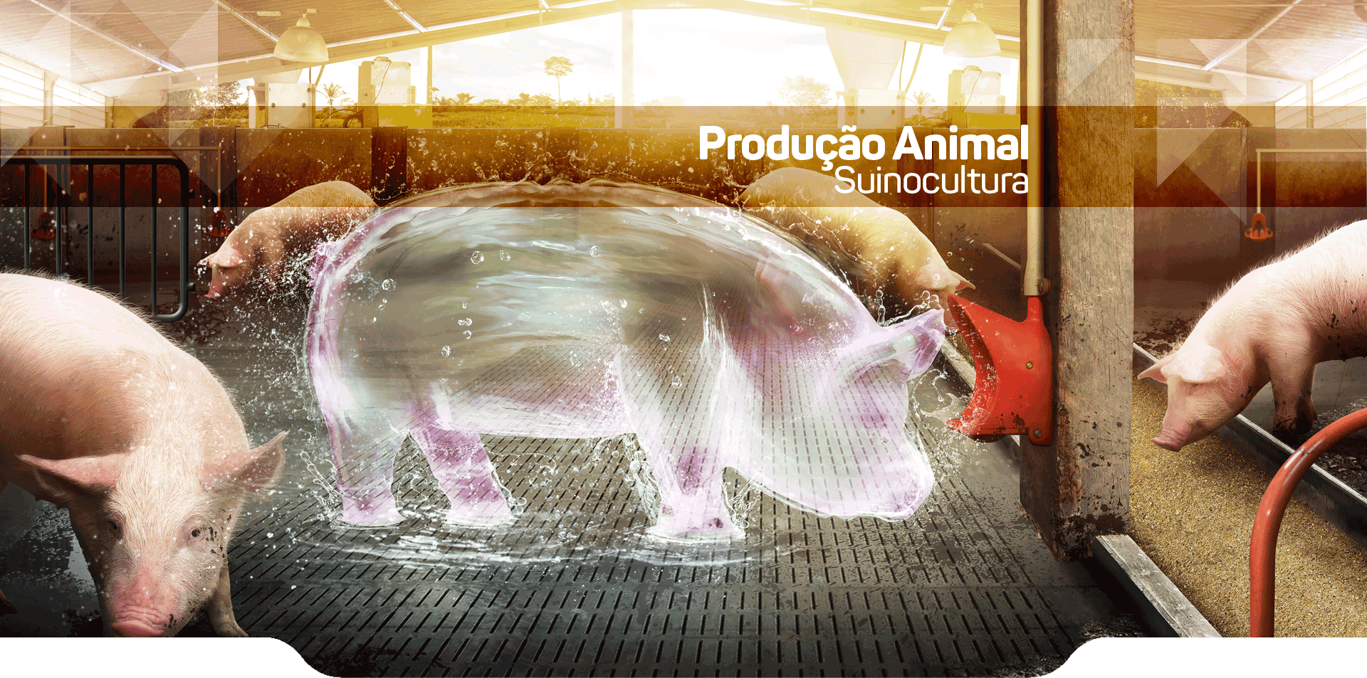 Controle de Amônia