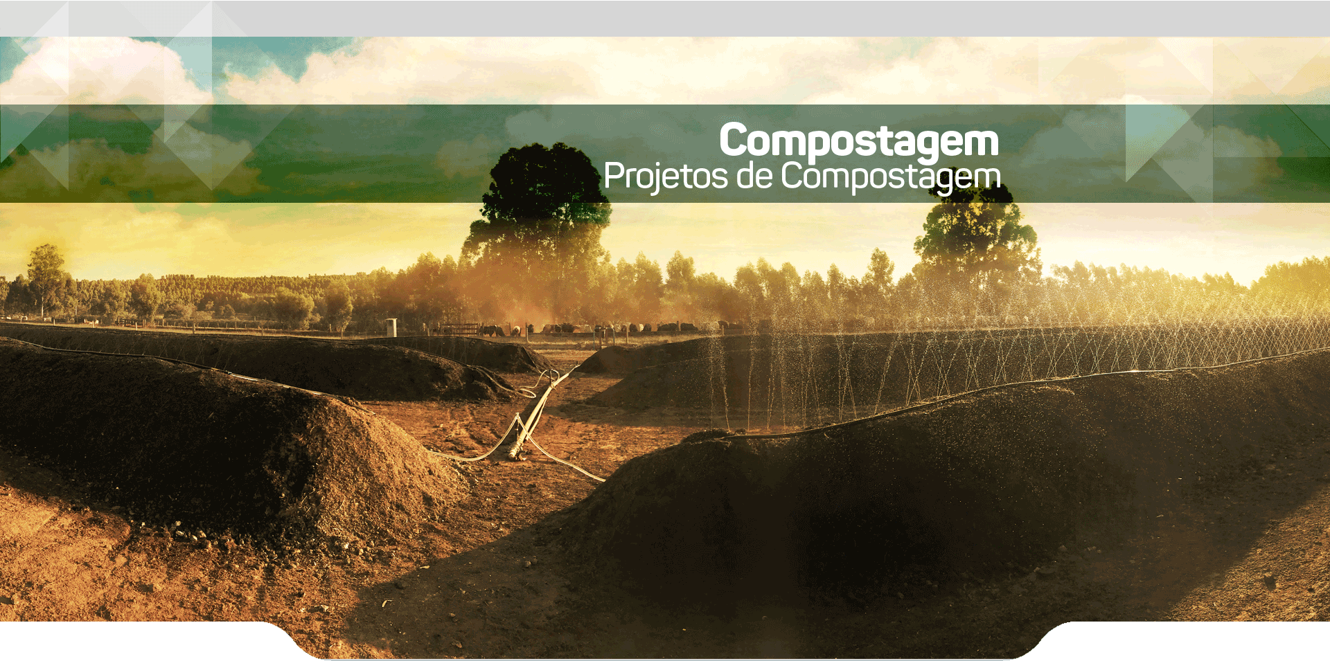 Projetos de Compostagem
