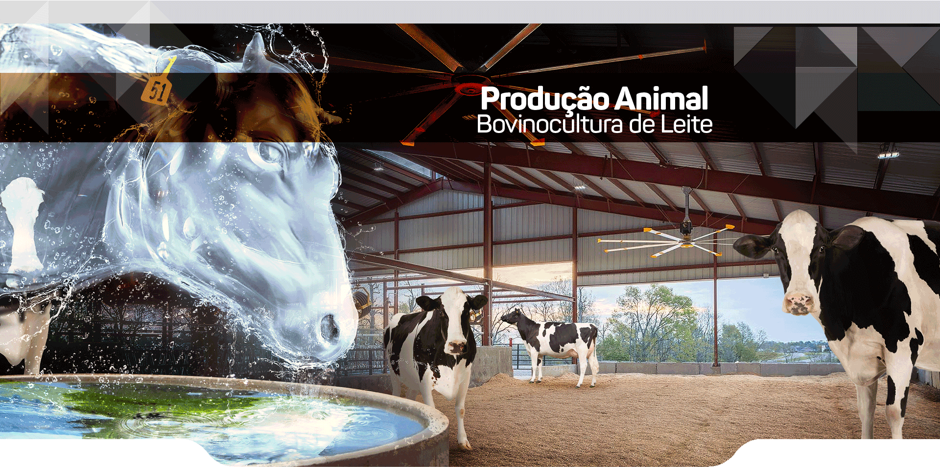 Biosseguridade
