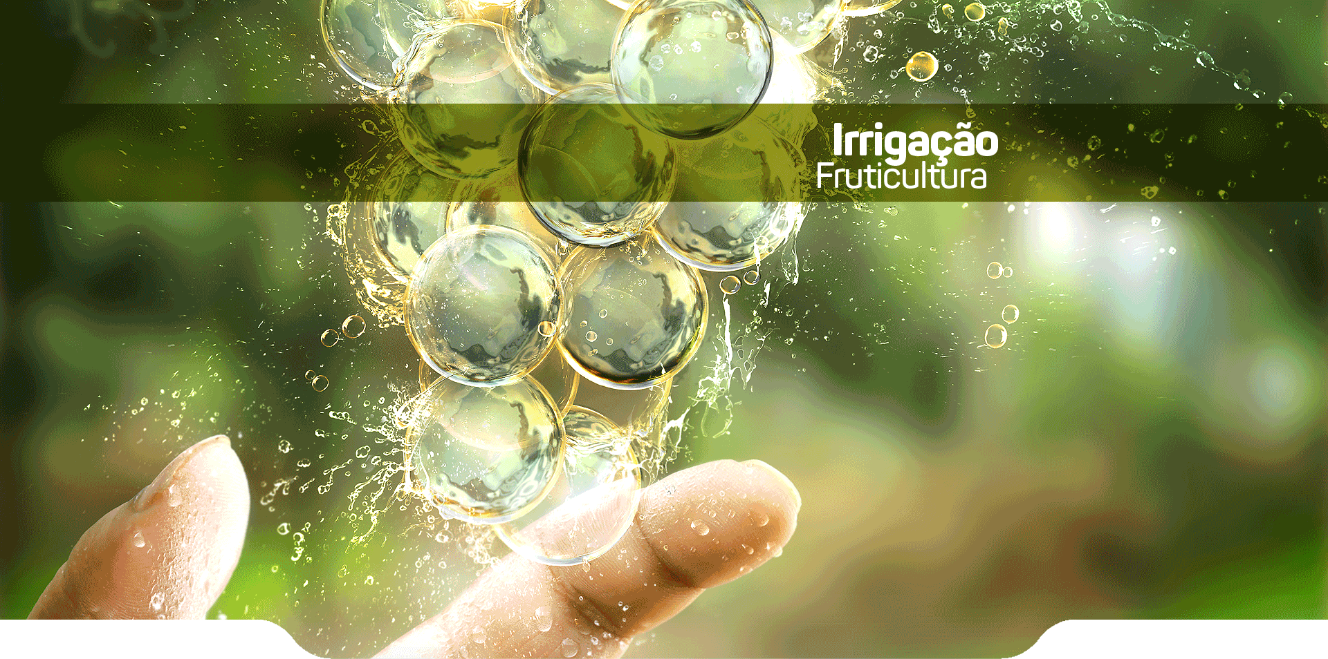 Economia de Fertilizantes